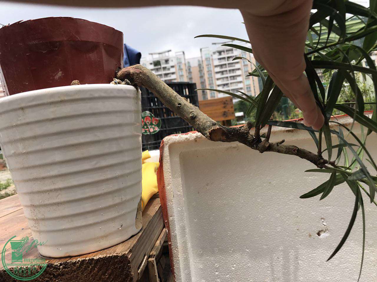 ΢ͼƬ_20170724115425.jpg