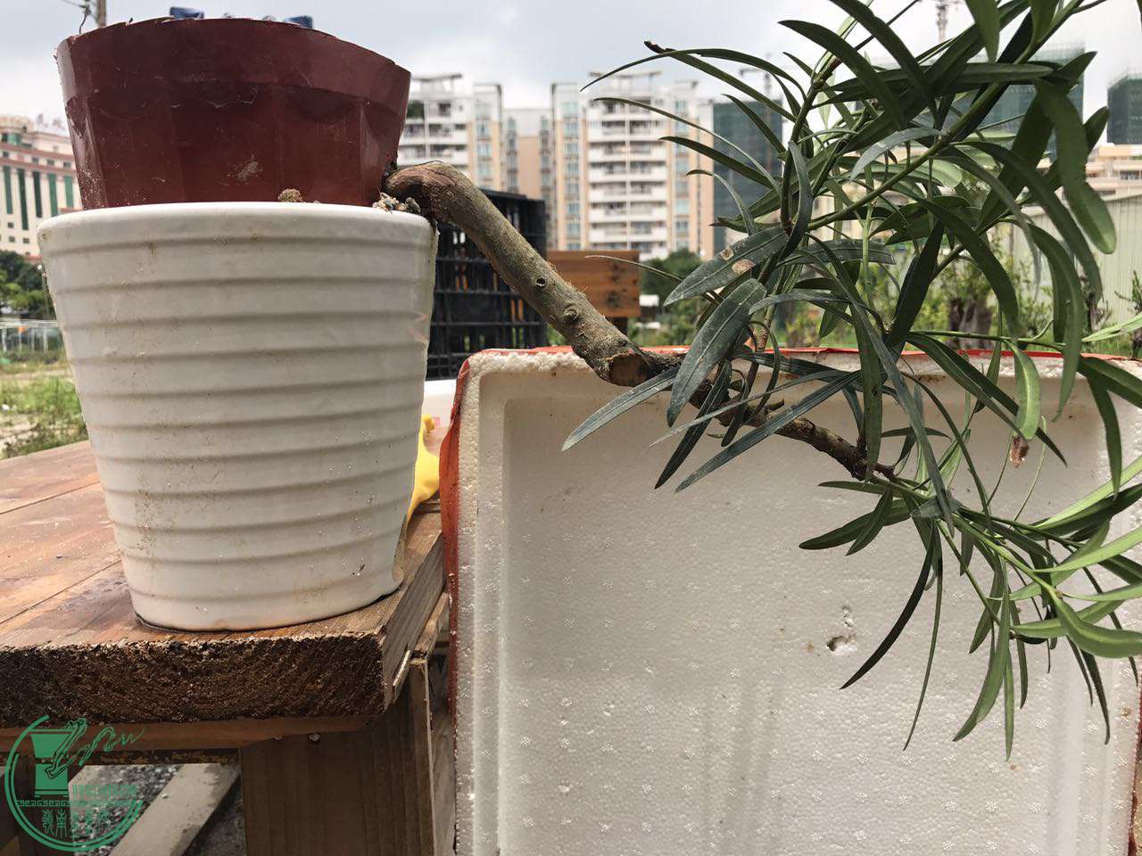 ΢ͼƬ_20170724115421.jpg