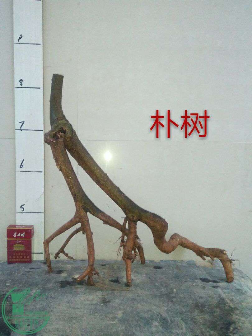 QQͼƬ20170725204725.jpg