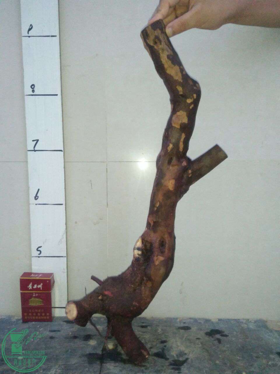 QQͼƬ20170725204751.jpg