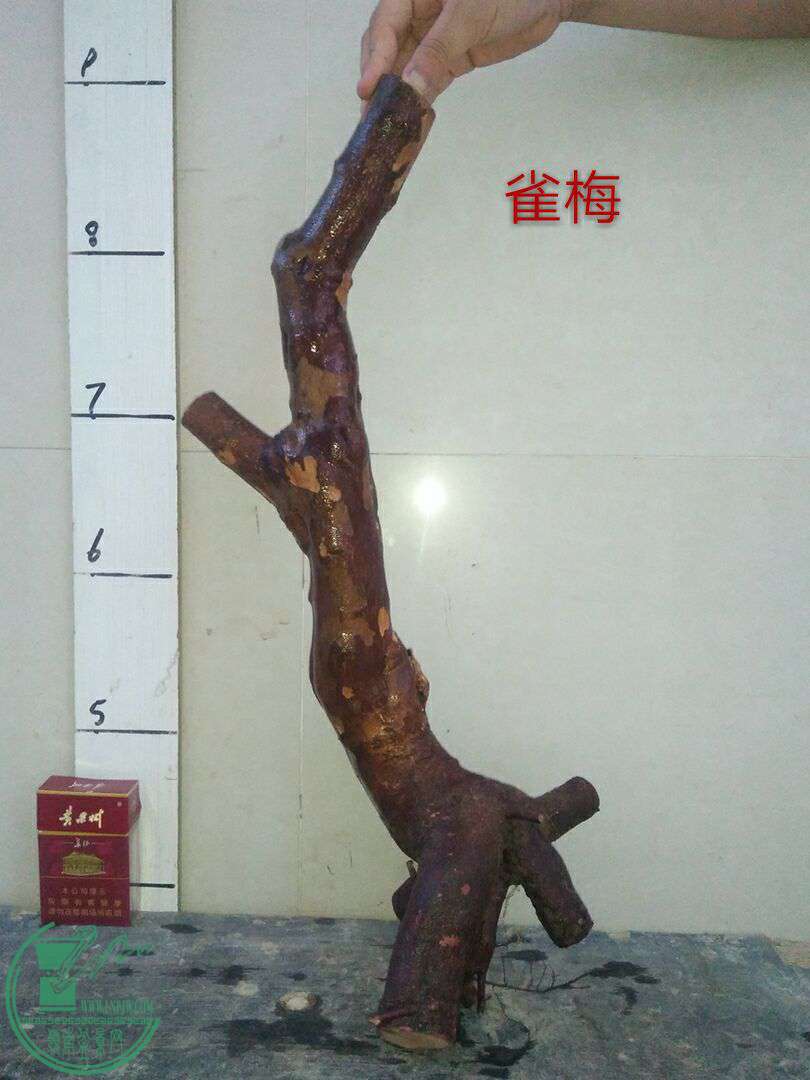 QQͼƬ20170725204703.jpg