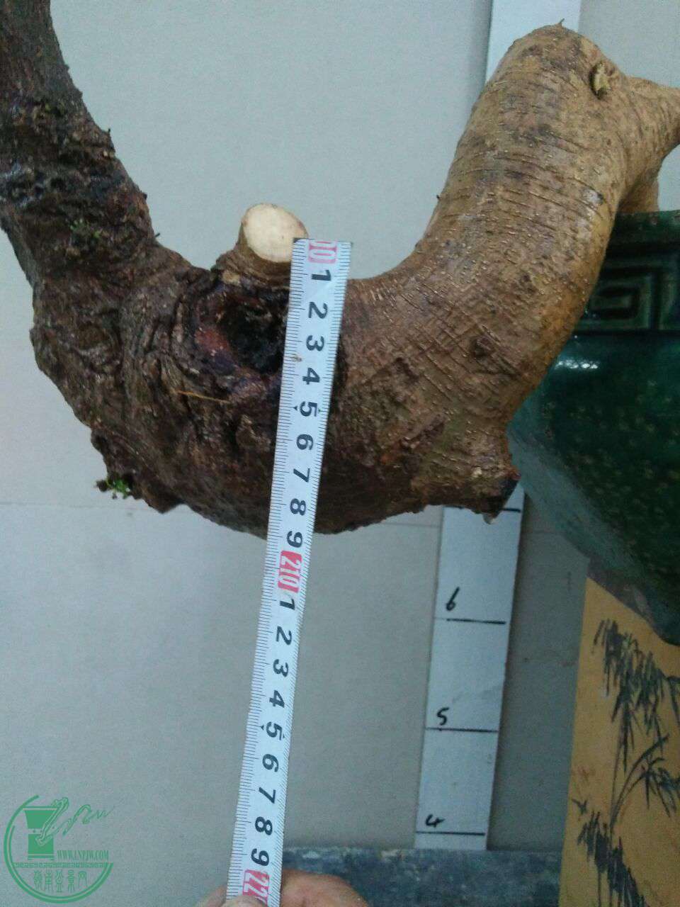 QQͼƬ20170726223621.jpg