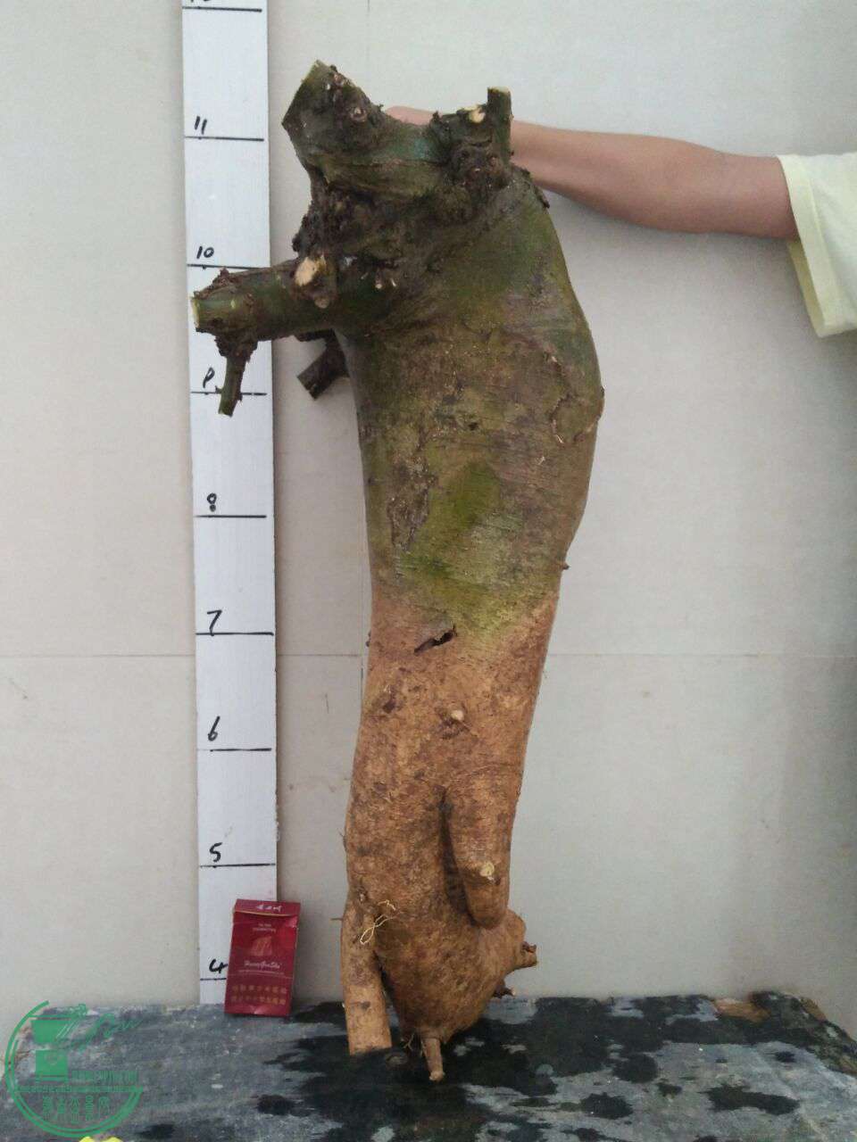 QQͼƬ20170727224141.jpg