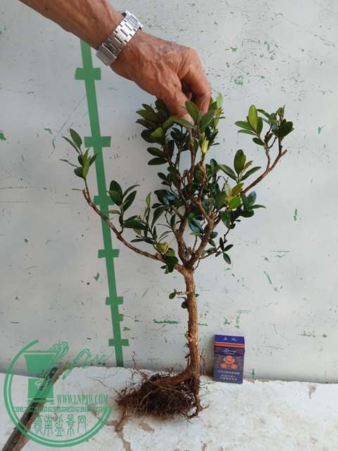 IMG20170728102305.jpg