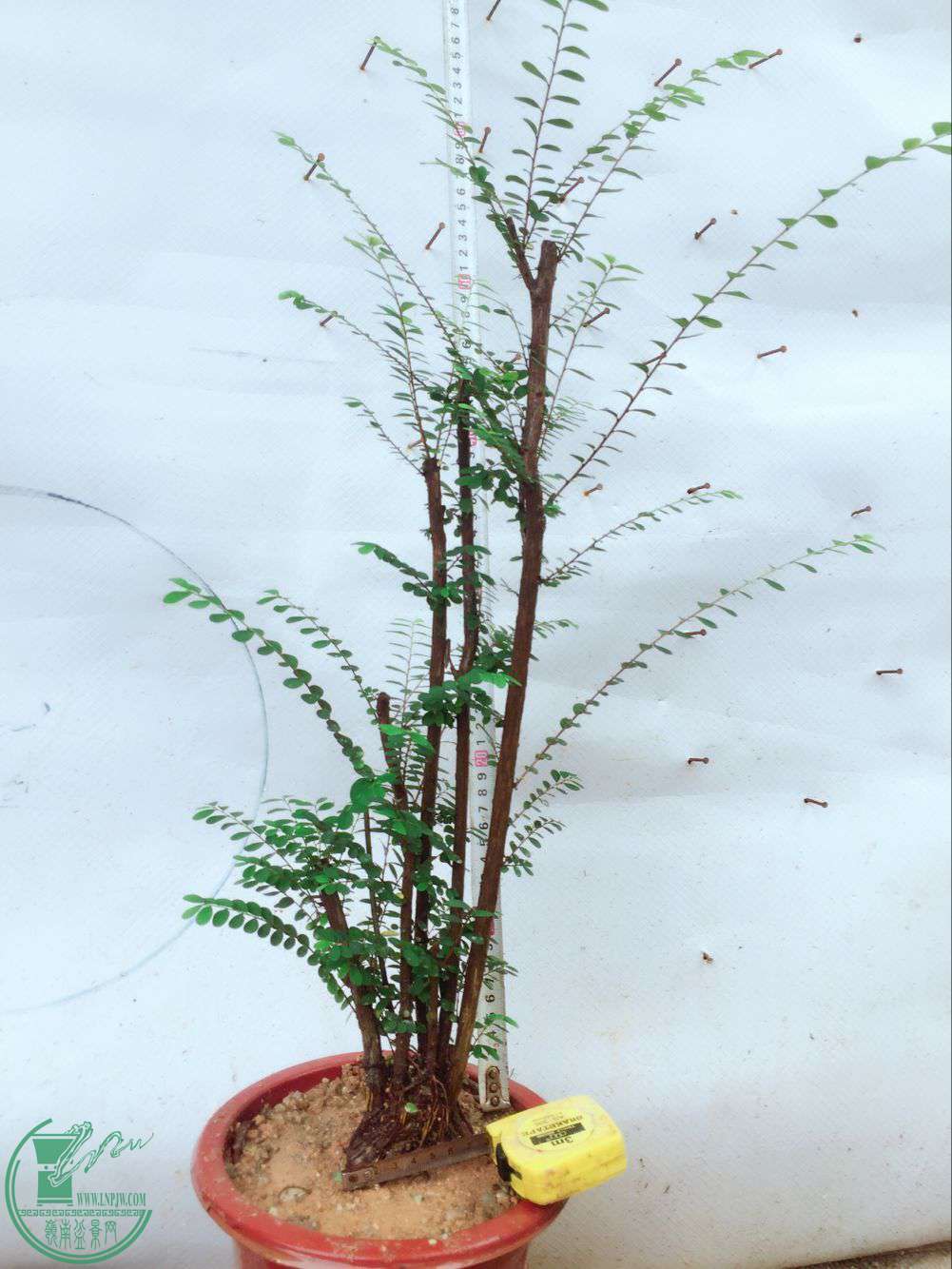 QQͼƬ20170801172542.jpg