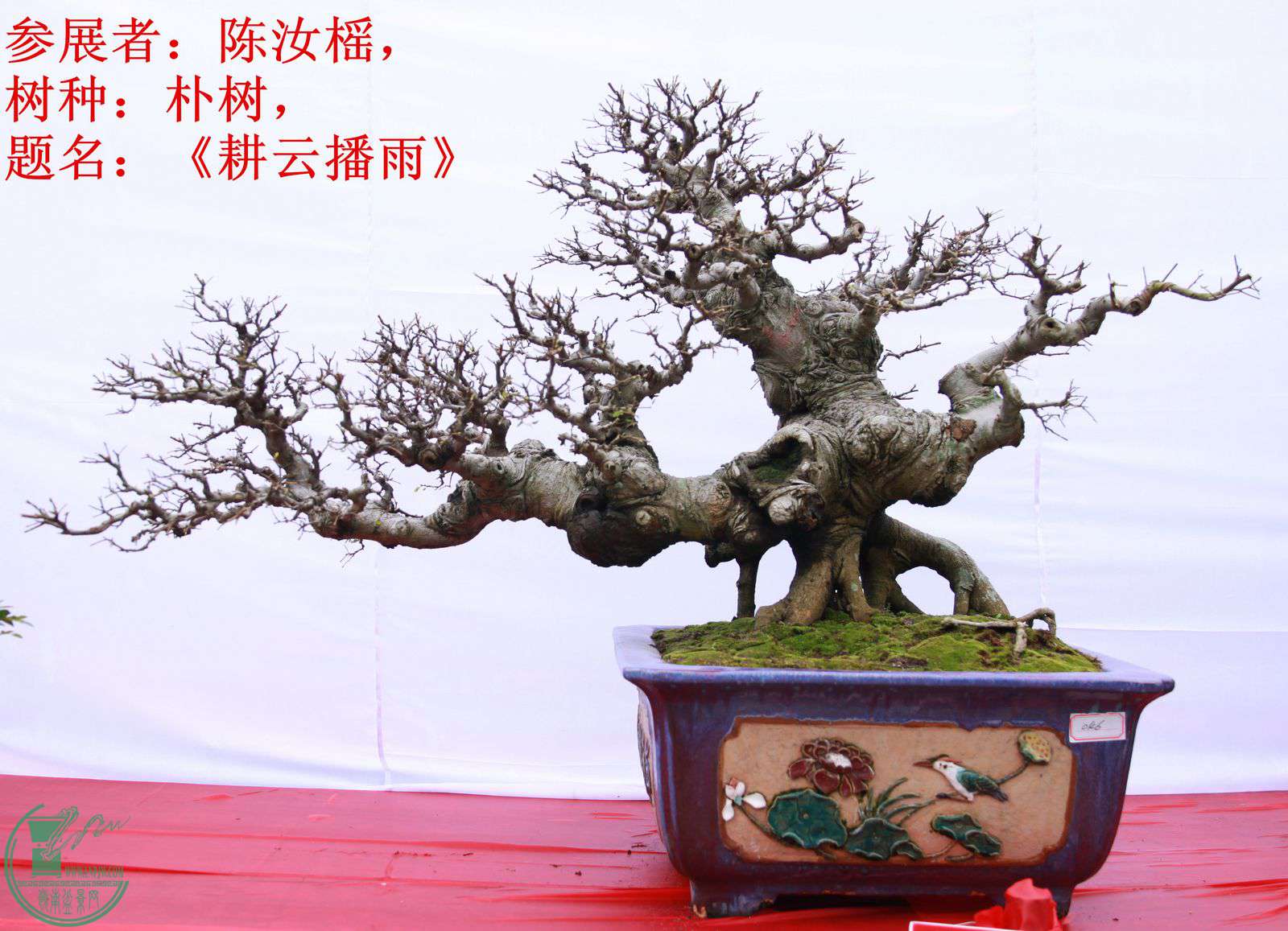 046չߣl֣Ʋ꡷IMG_1530.jpg