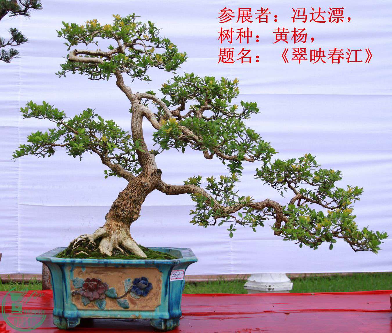 057չߣƯ֣ӳIMG_1316.jpg