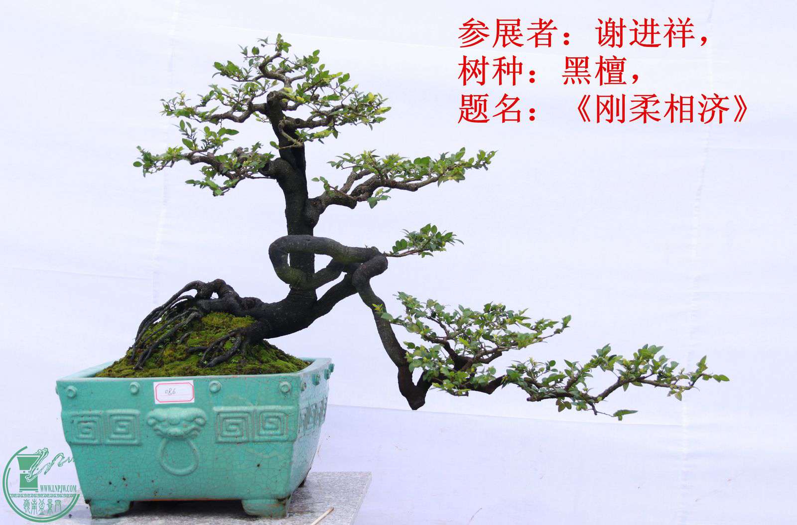 086չߣл飬̴֣áIMG_1632.jpg