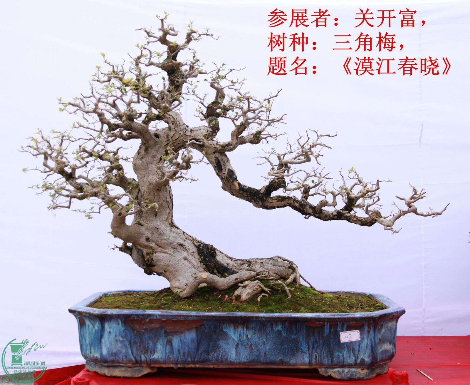 117չߣؿ֣÷ĮIMG_1665.jpg