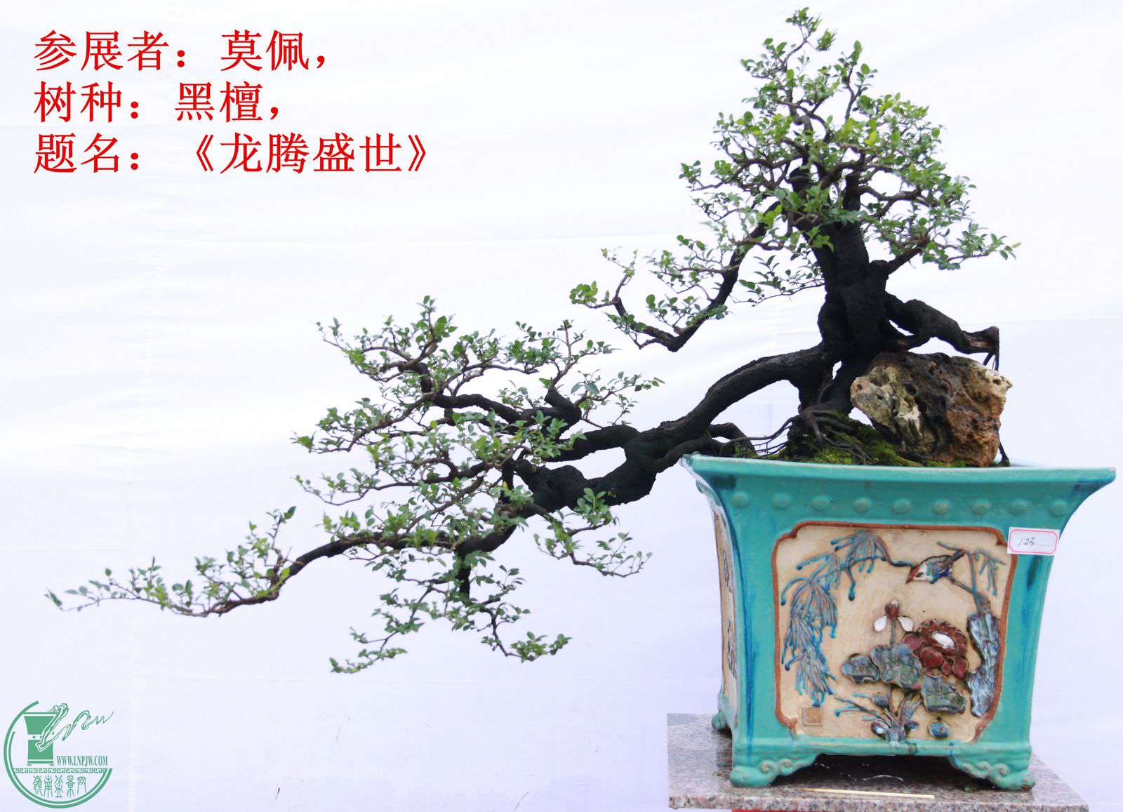 123չߣĪ壬̴֣ʢIMG_1638.jpg