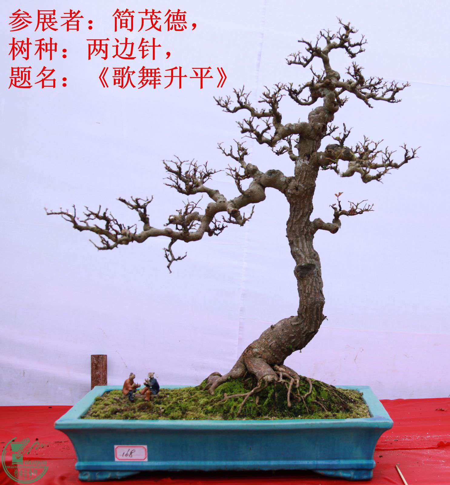 168չߣï£֣룬ƽIMG_1661.jpg