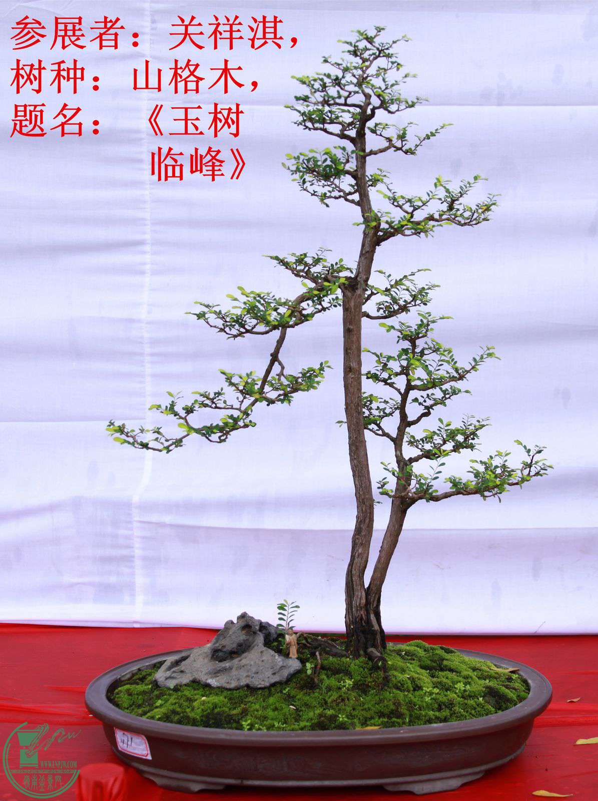 171չߣ俣֣ɽľٷ塷IMG_1493.jpg