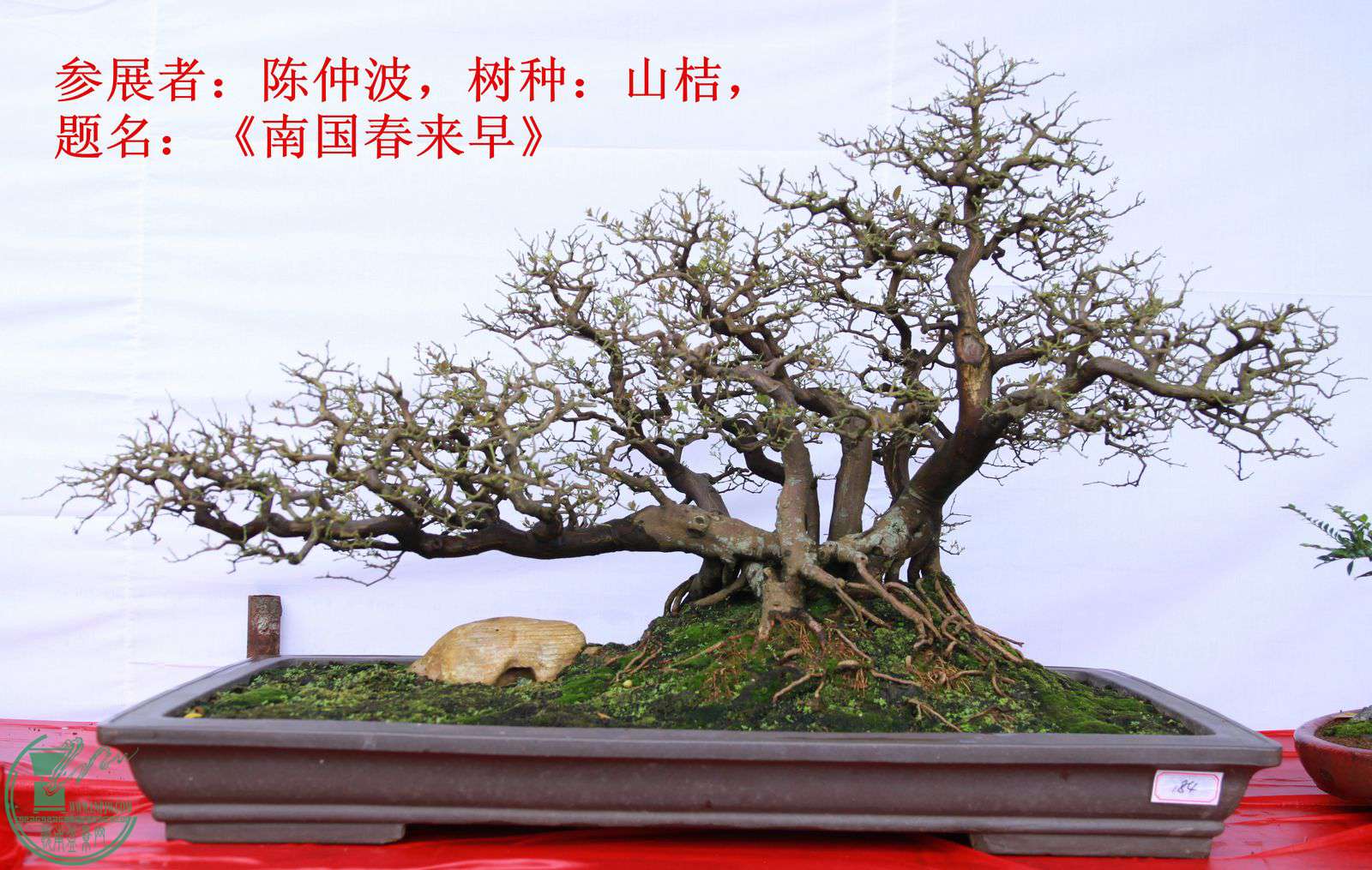 184չߣٲ֣ɽۣϹ硷IMG_1294.jpg