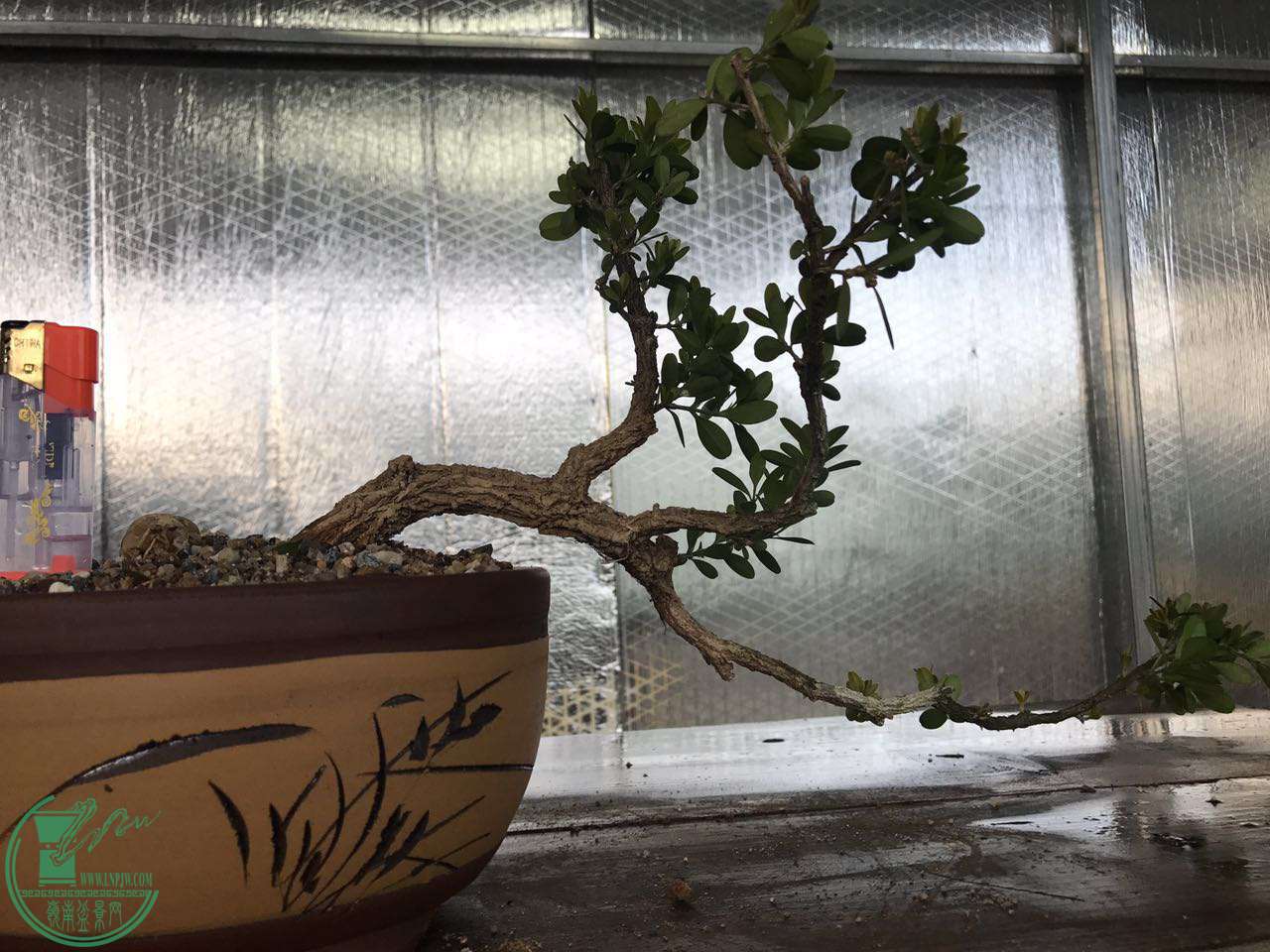 ΢ͼƬ_20170908202354.jpg