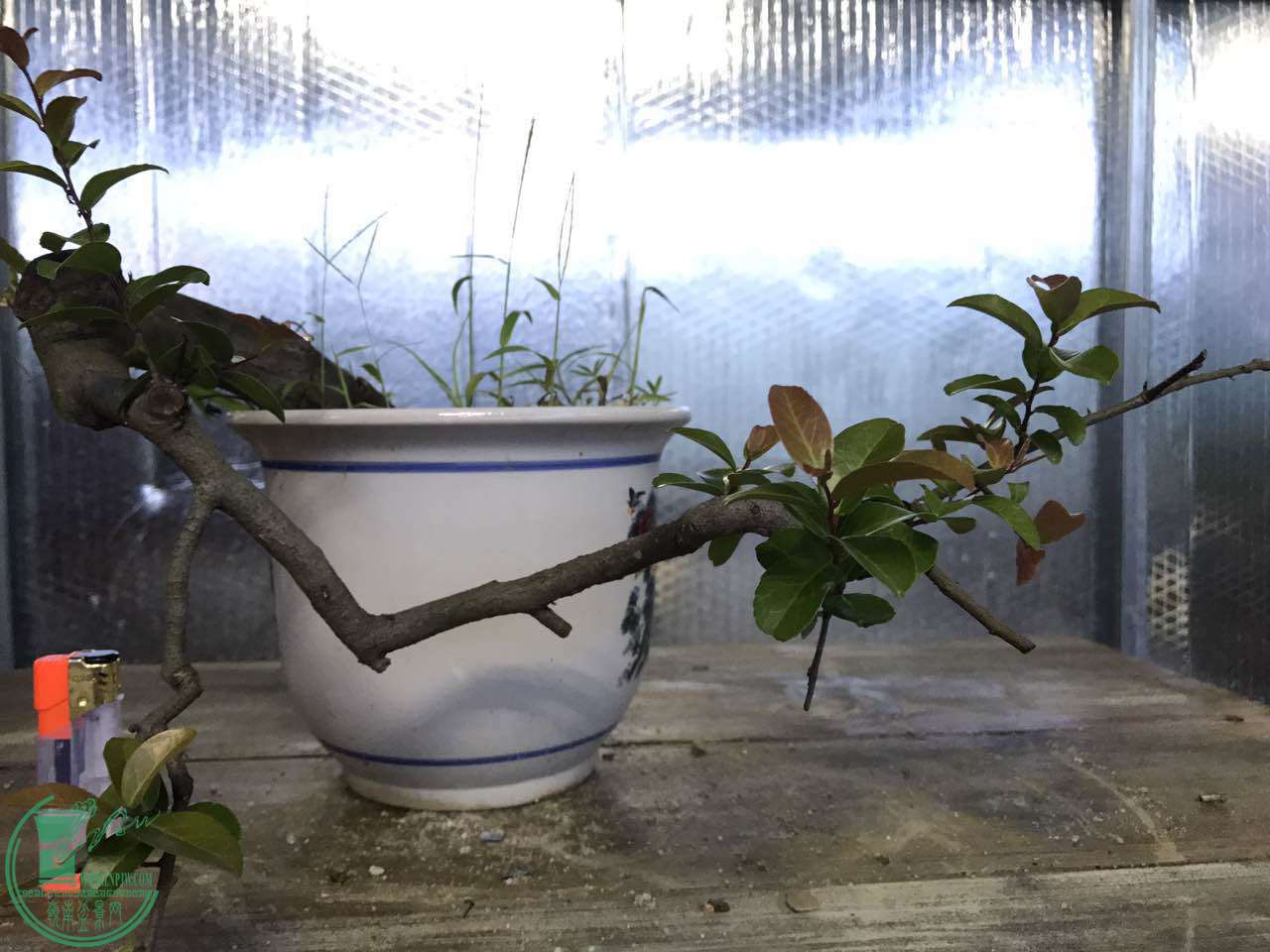 ΢ͼƬ_20170910105257.jpg