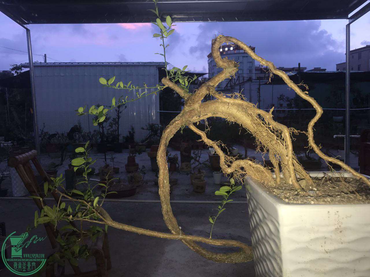 ΢ͼƬ_20170910202446.jpg