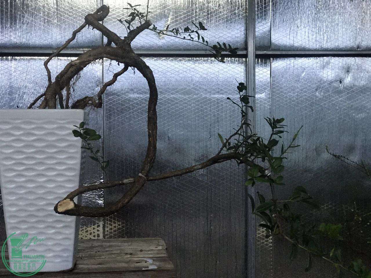 ΢ͼƬ_20170910202440.jpg