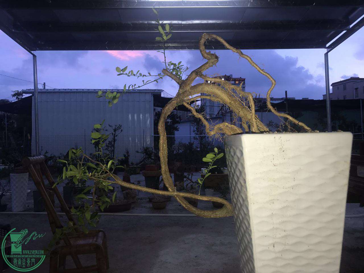 ΢ͼƬ_20170910202444.jpg