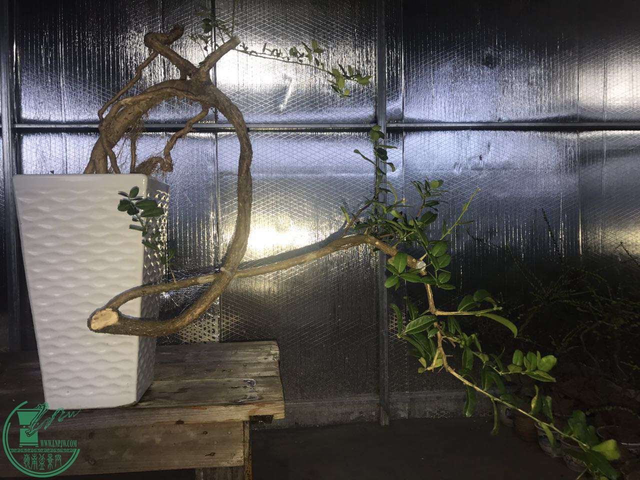 ΢ͼƬ_20170910202436.jpg
