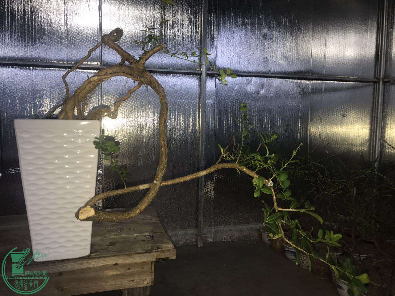 ΢ͼƬ_20170910202439.jpg