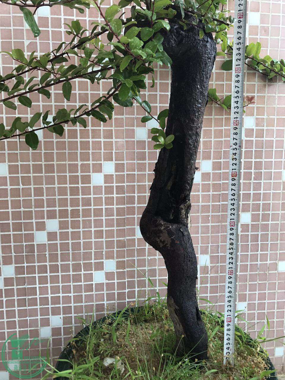 ΢ͼƬ_20170720093917.jpg