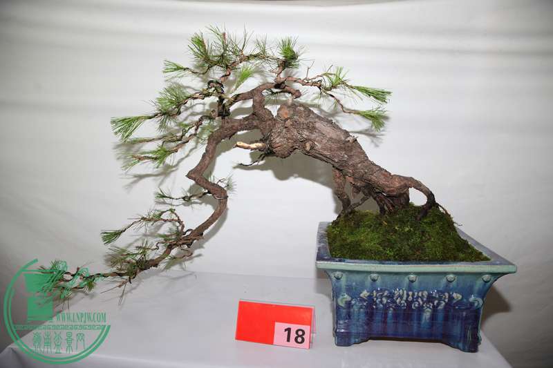(18)ϣ0595.jpg