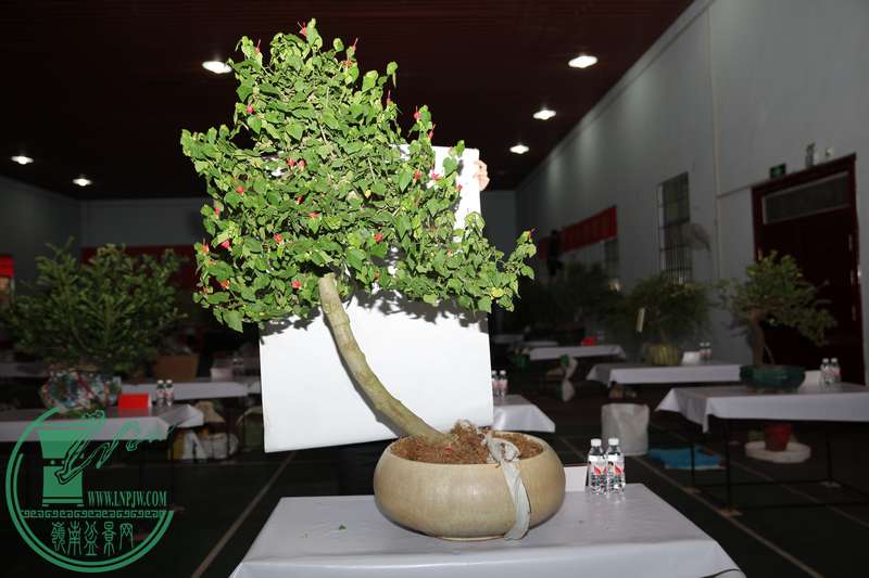 (32)ѧIMG_0324.jpg