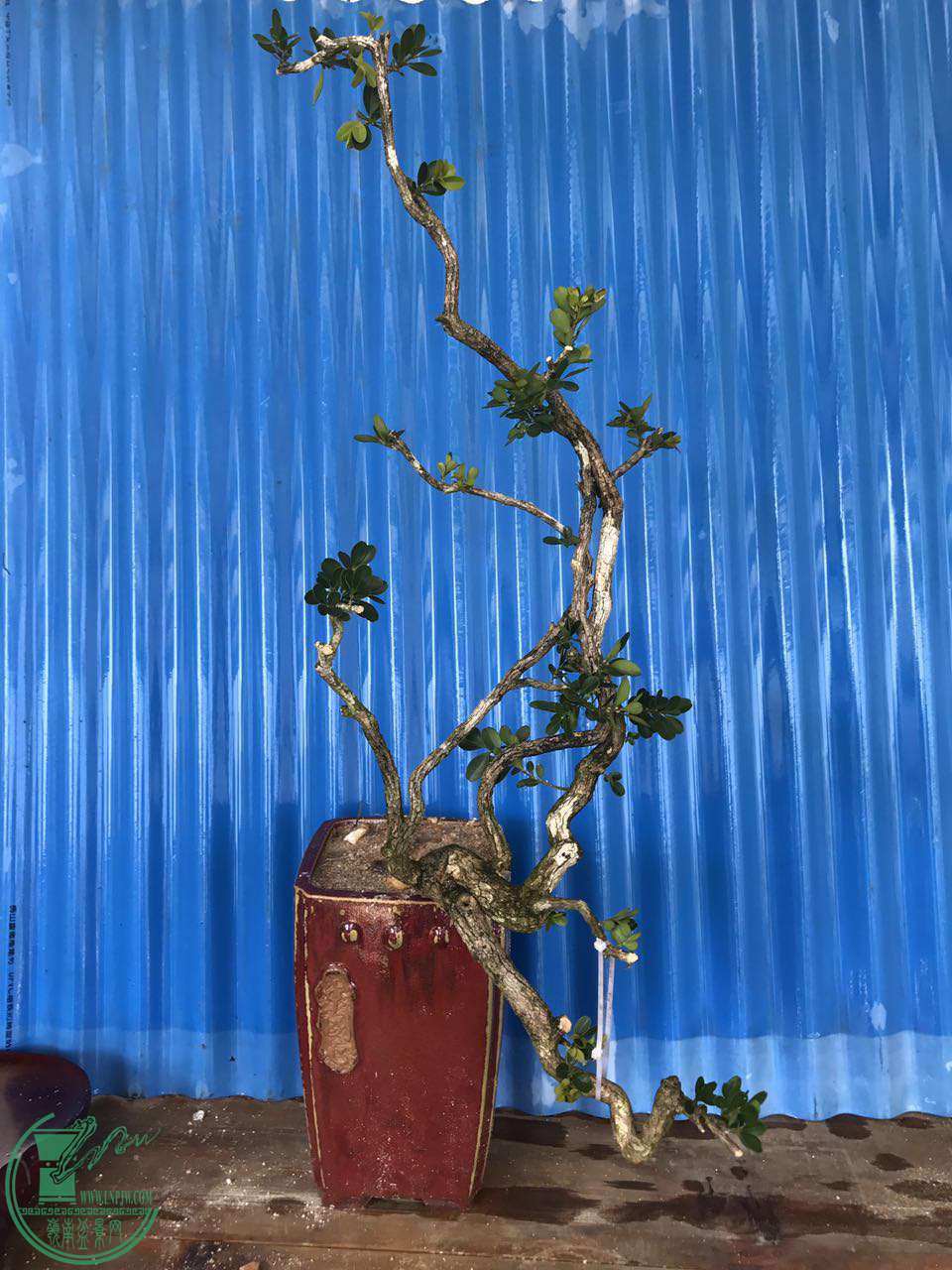 ΢ͼƬ_20170916163827.jpg