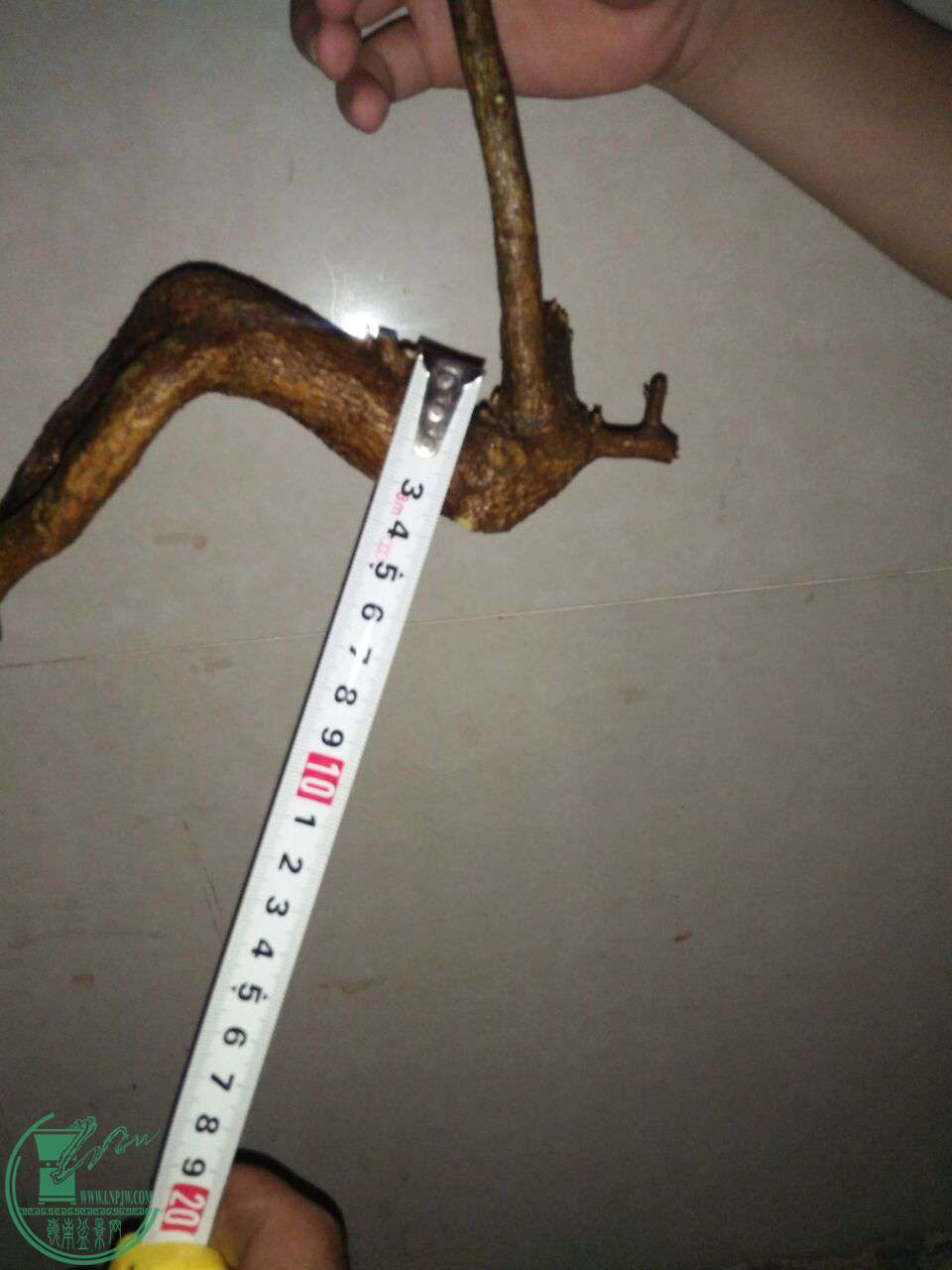 QQͼƬ20170918212123.jpg