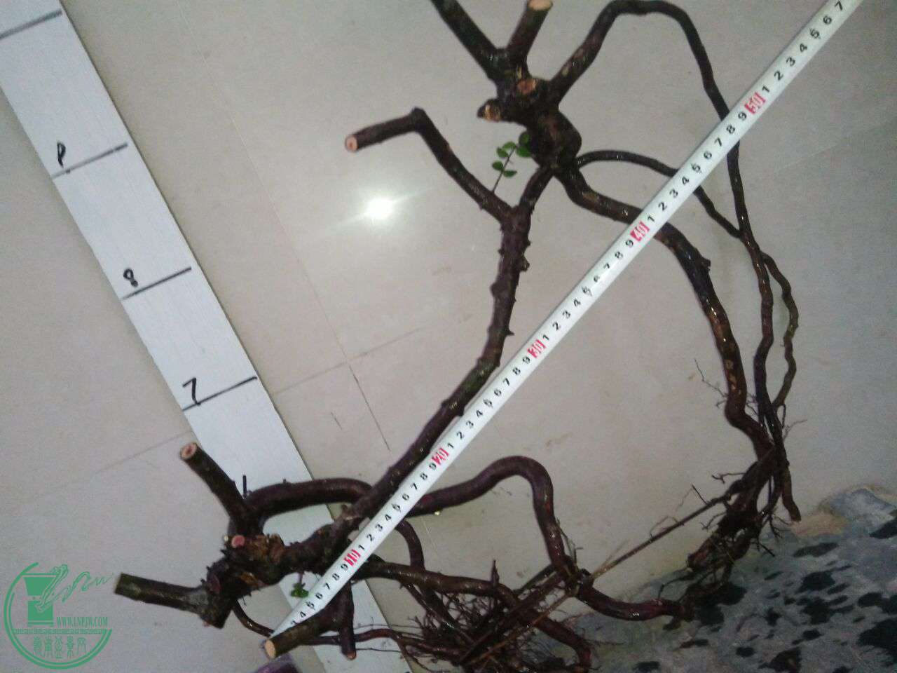 QQͼƬ20170921210855.jpg
