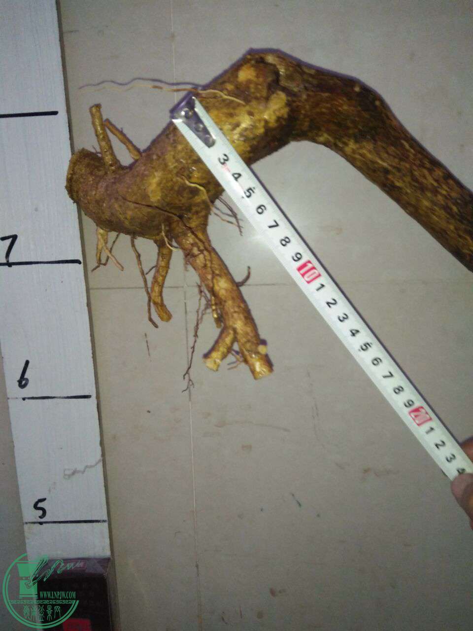 QQͼƬ20170921210843.jpg