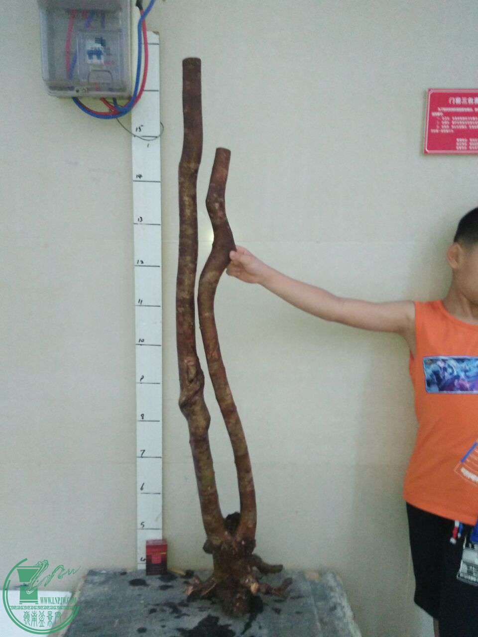 QQͼƬ20170923213406.jpg
