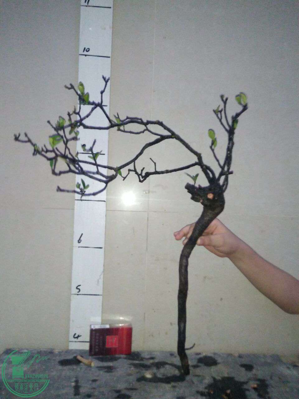 QQͼƬ20170923213704.jpg