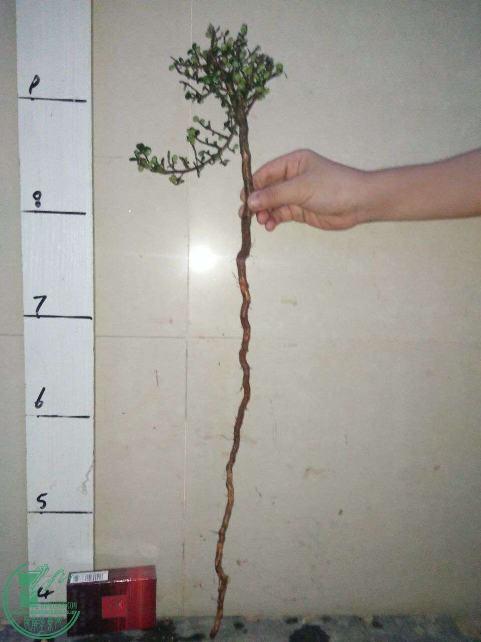 QQͼƬ20170923213647.jpg