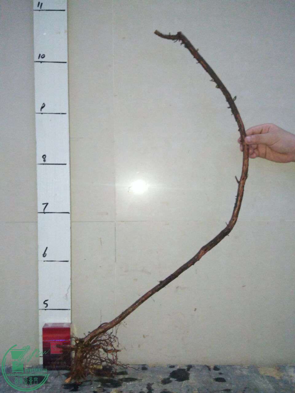 QQͼƬ20170923213504.jpg