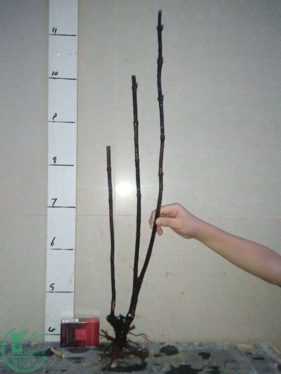 QQͼƬ20170923213727.jpg