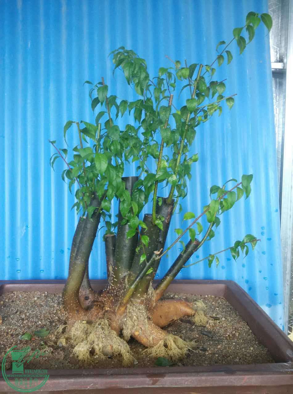΢ͼƬ_20170924190916.jpg