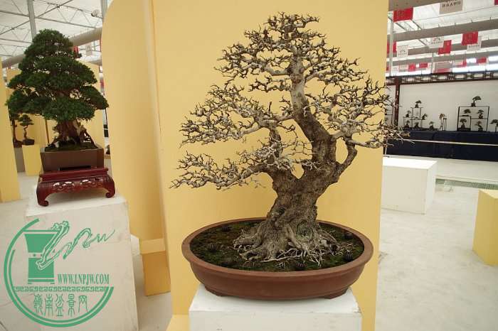 133302j4356rj6rk3cxxkk.jpg.thumb.jpg