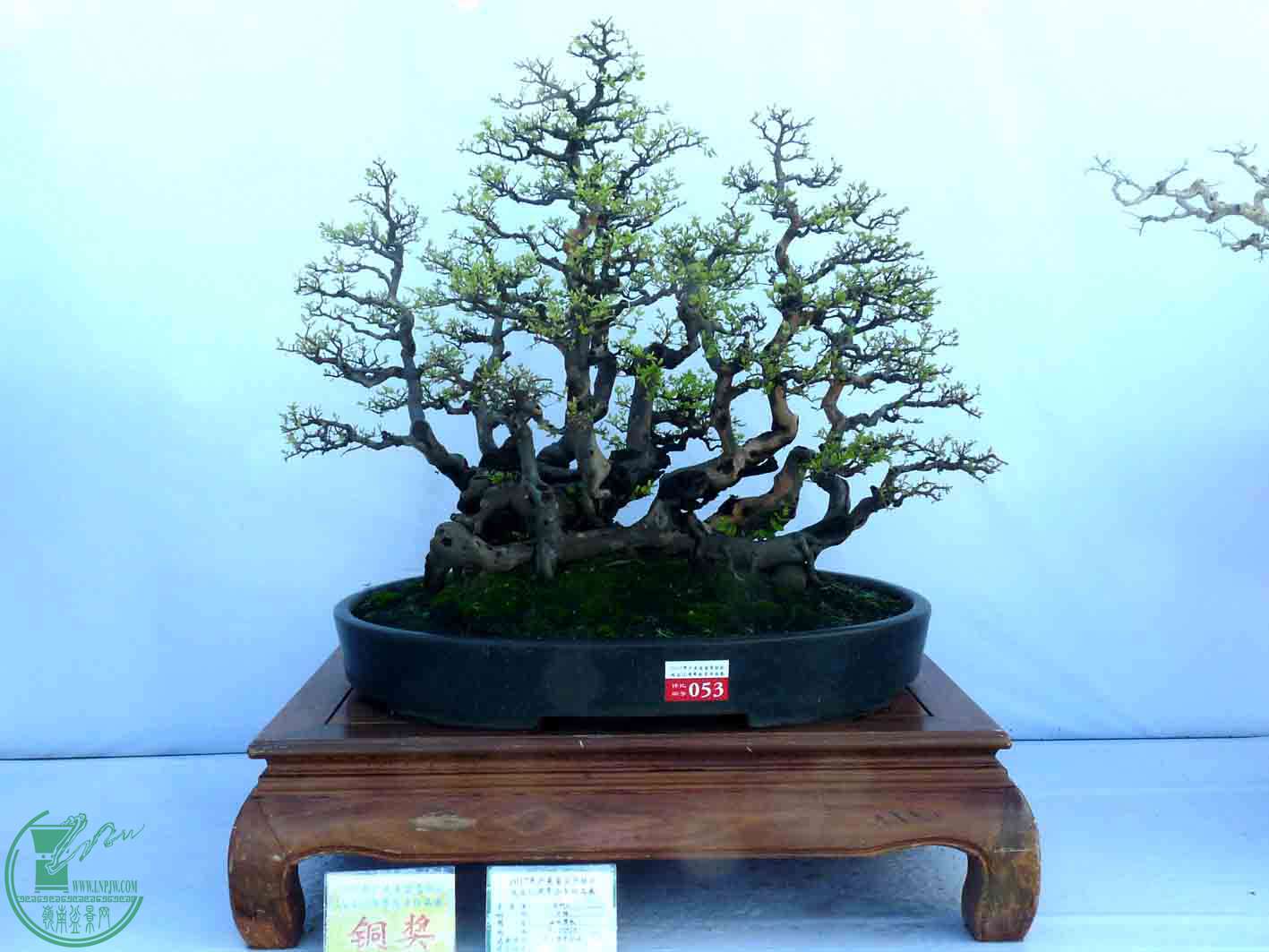 P1050235.JPG