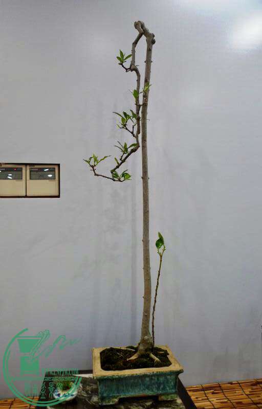 ΢ͼƬ_20171003044123.jpg