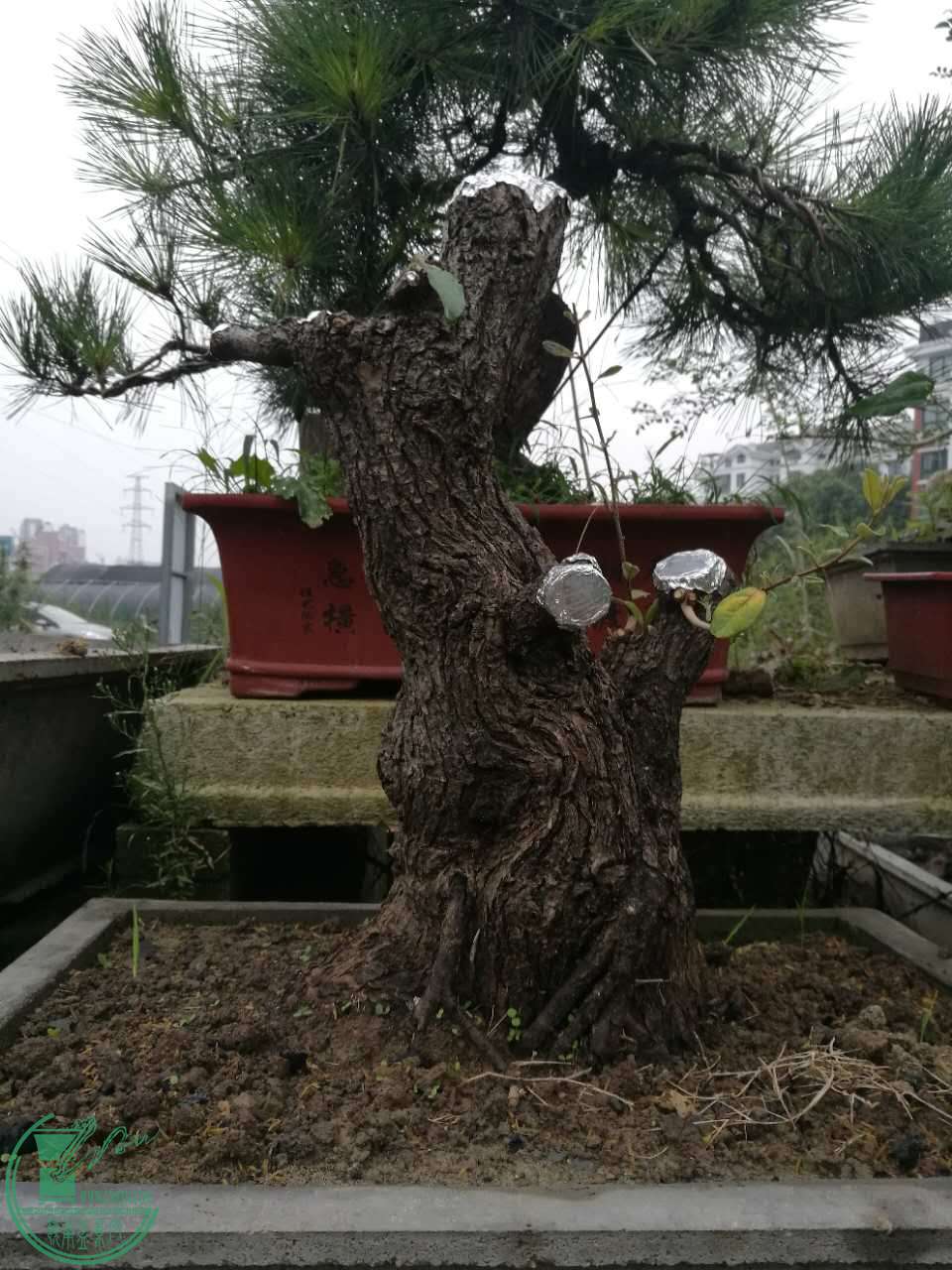 ΢ͼƬ_20170927111635.jpg