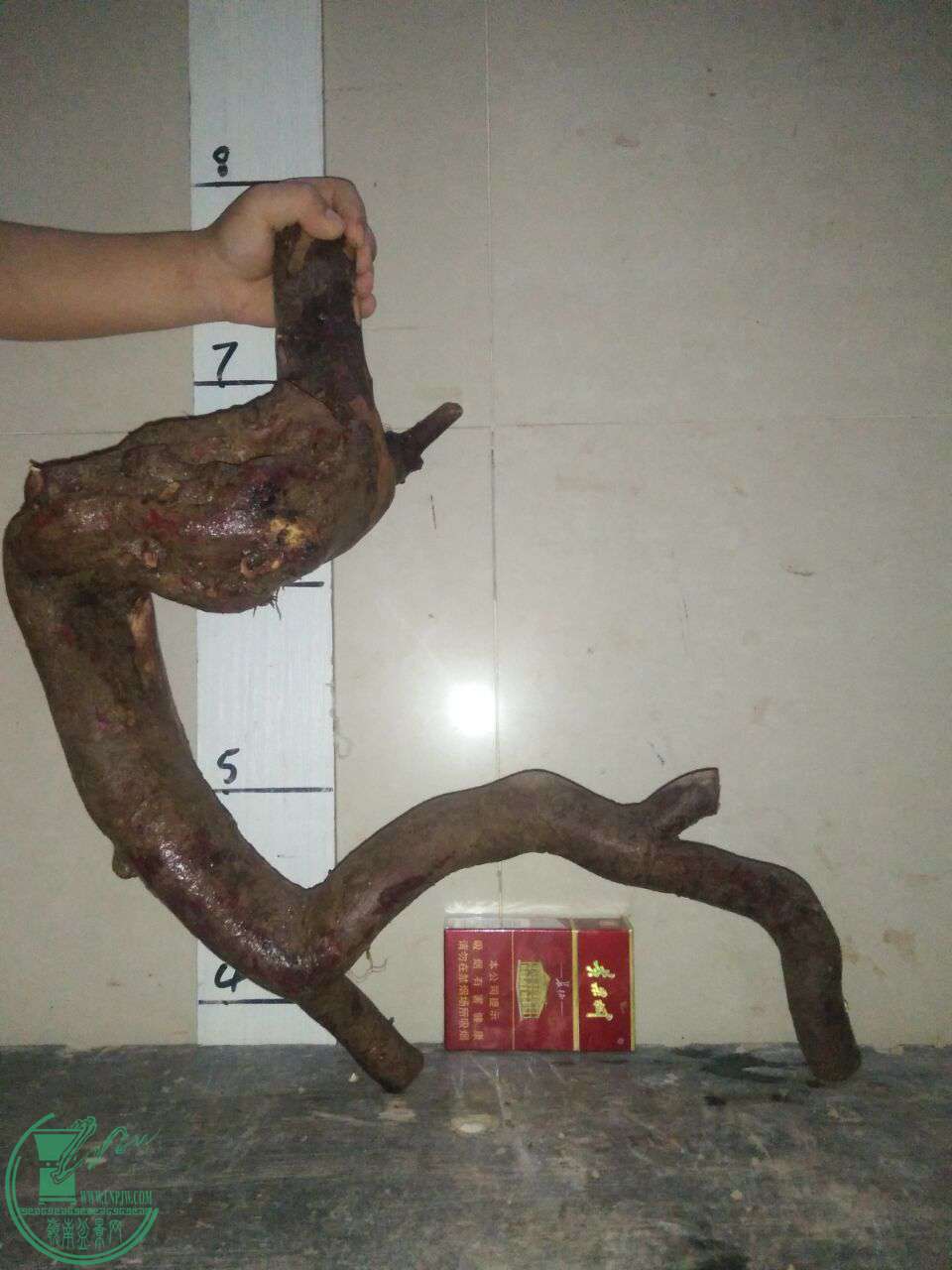 QQͼƬ20171013201129.jpg