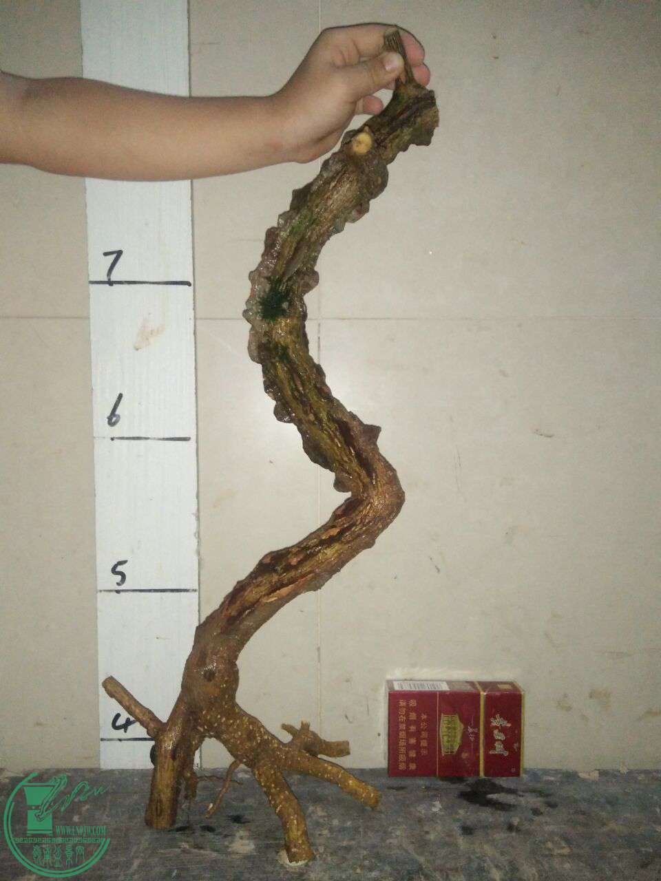 QQͼƬ20171013201116.jpg