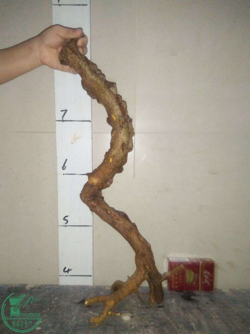 QQͼƬ20171013201050.jpg