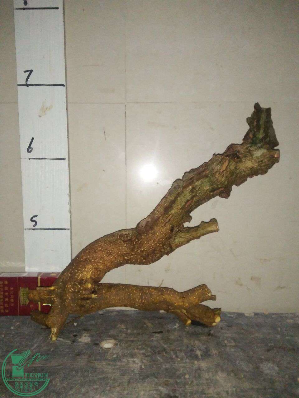 QQͼƬ20171013201039.jpg