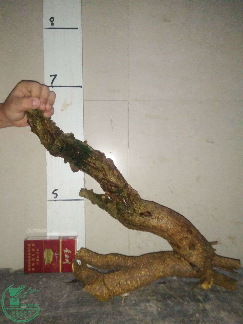 QQͼƬ20171013200943.jpg