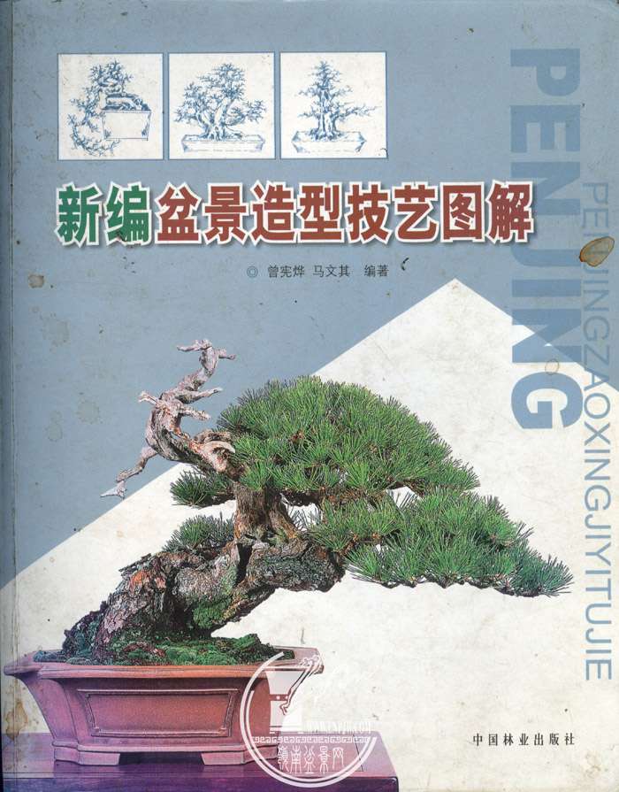 ±辰ͼͼ  .jpg