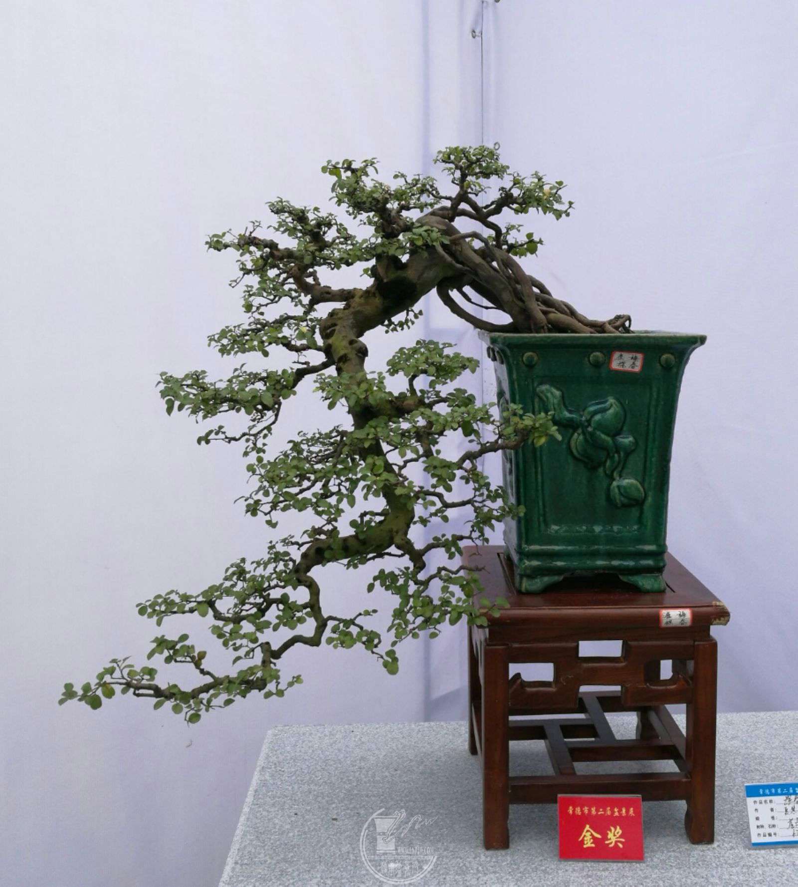 mmexport1509019119534.jpg