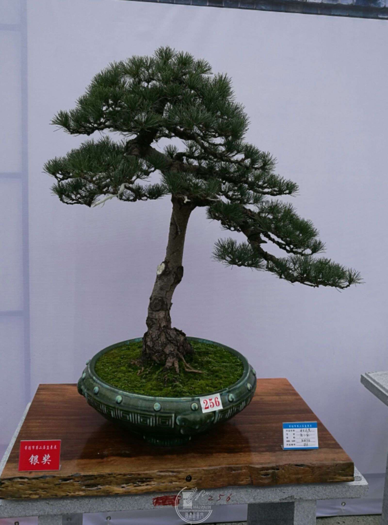 mmexport1509019182021.jpg