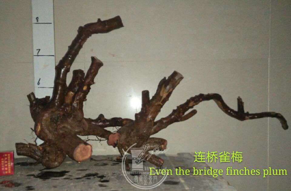 QQͼƬ20171107213442.jpg